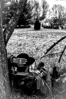 The Onlooker